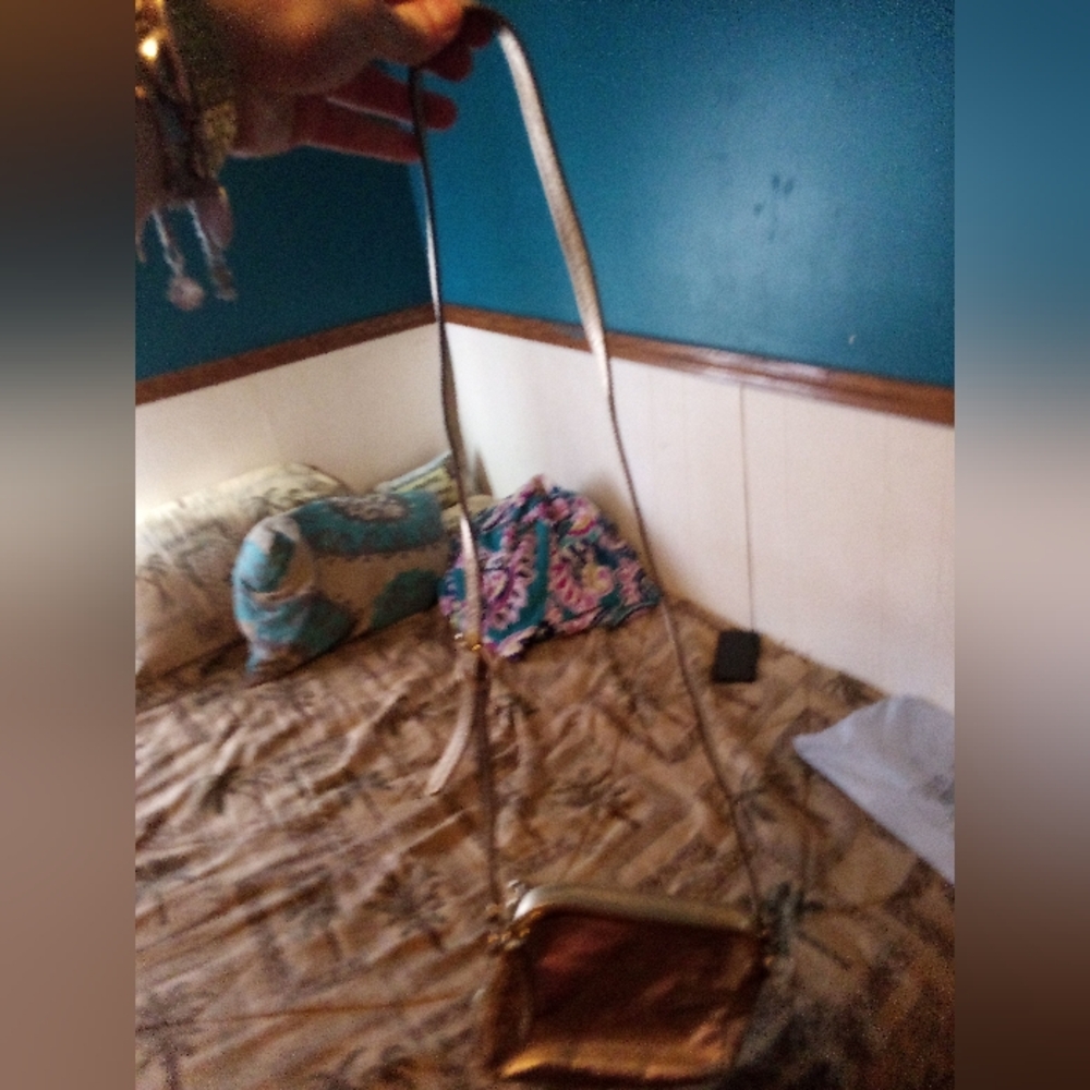 Fossil handbag